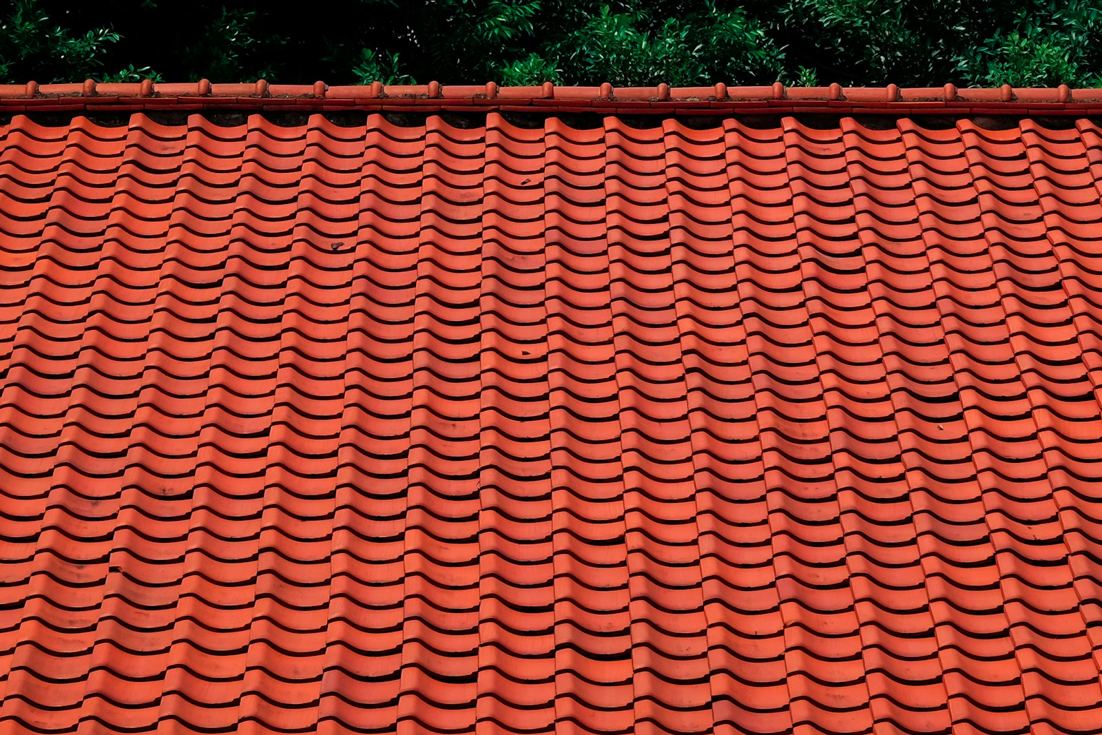 Roof Replacement