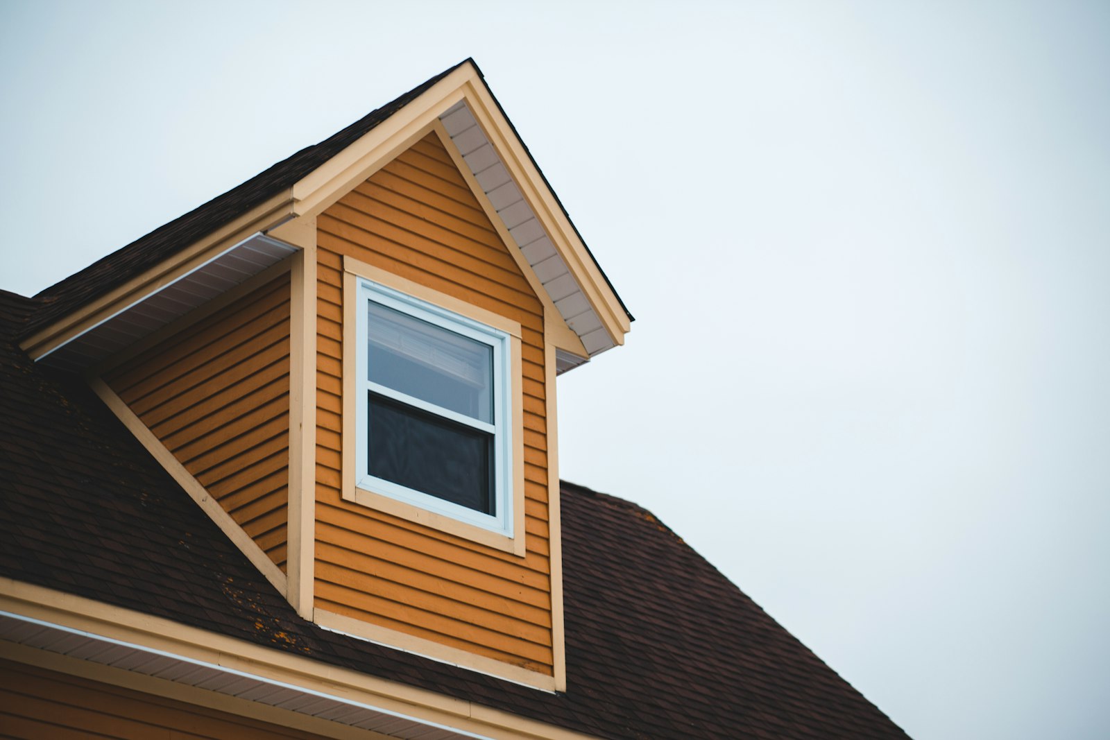Siding & Exterior